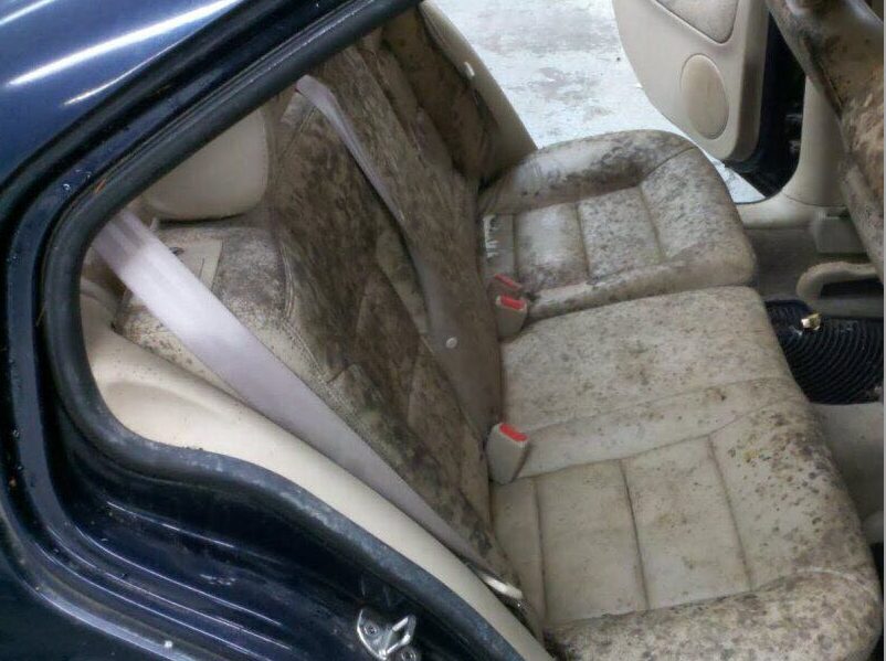 Cash for scrap cars Delta