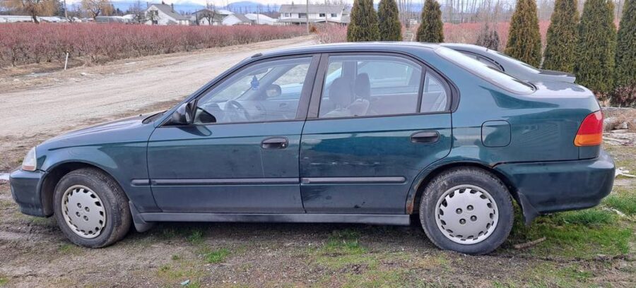 used-car-buying-business