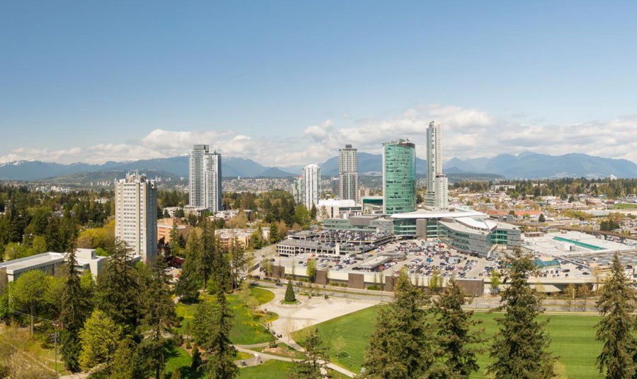 Whalley scrap car removal - Surrey BC